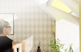 VELUX Shop