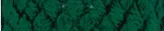 Bies bosgroen 5888