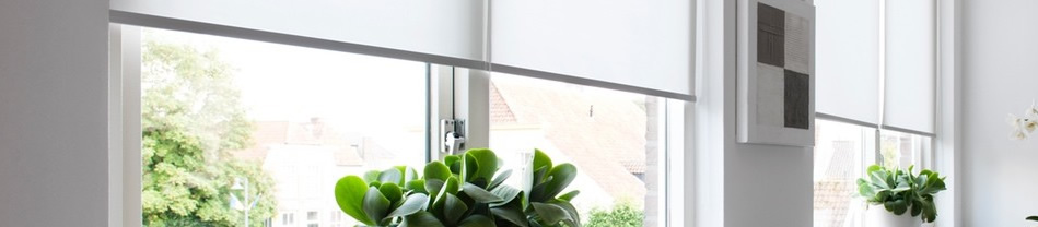 Rolgordijn gemonteerd aan een groot raam met uitzicht op groen en huizen, met planten op de vensterbank