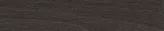 30.1638 Coffee Bean