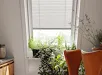 Woonkamer met oranje bank en planten bij raam met VELUX jaloezie